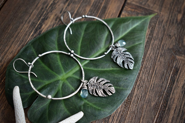 Monstera Dangles